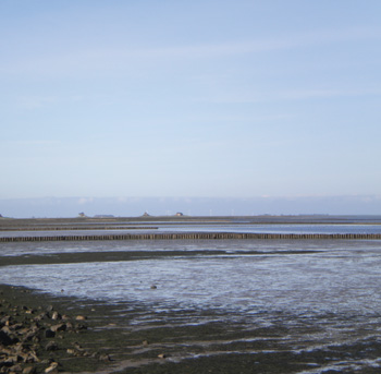 Trilateral (flood) risk management in the Wadden Sea Region